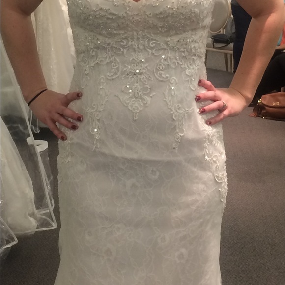 Galina Signature SWG675 NWOT - Picture 7 of 7